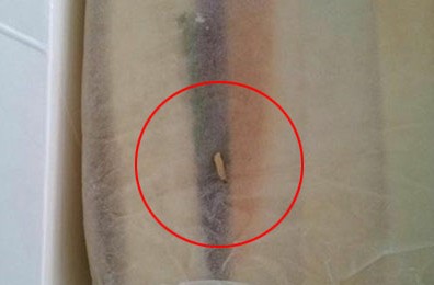 丹香三明治吃出活蛆虫 店家解释称是小虫子