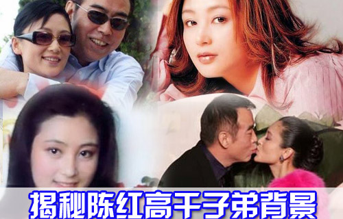 陈凯歌妻子陈红背景曝光 高干子弟身家惊人