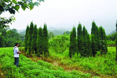 雍正皇帝师傅晚年归隐青岛山村 古墓位置保密