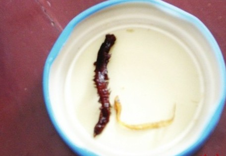 肖大妈罐头被曝吃出大蜈蚣 消费者吓得吐胃水