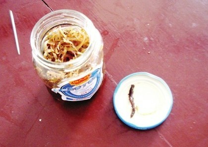 肖大妈罐头被曝吃出大蜈蚣 消费者吓得吐胃水