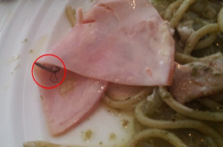 佳世客沙龙餐厅沙拉吃出蟑螂 称出事在所难免