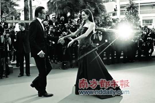 皮特与朱莉婚姻全景扫描