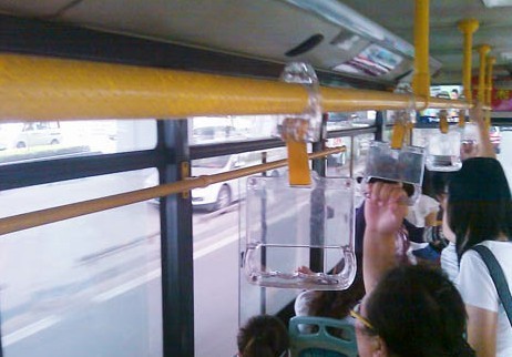 青岛网友叹公交扶手太高 矮个抓扶手像练吊环