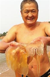 海蜇秋发威上千人被咬伤