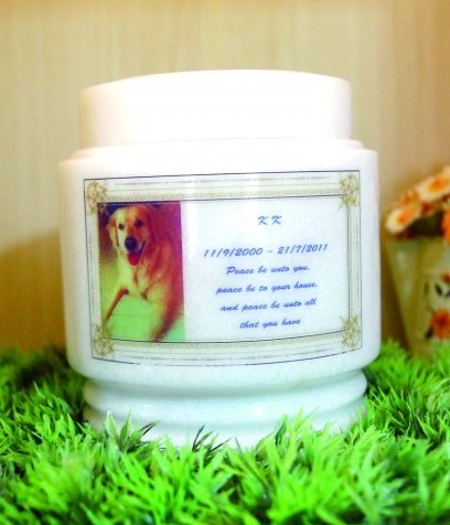 青岛成立首家动物殡仪馆 举行告别仪式设灵堂 青岛成立首家动物殡仪馆 举行告别仪式设灵堂