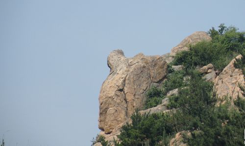 青岛城阳毛公山