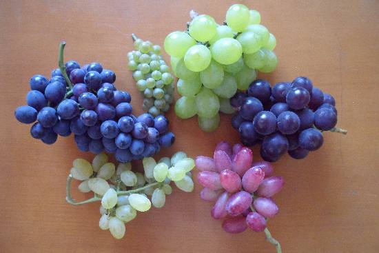 大泽山葡萄节明天开幕 实地探访葡萄产区