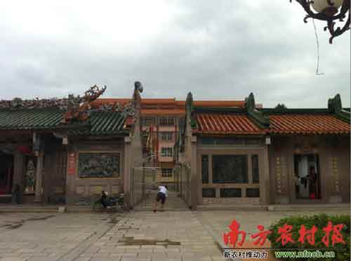 广东1村支书强占百亩农地 建家族豪华祠堂