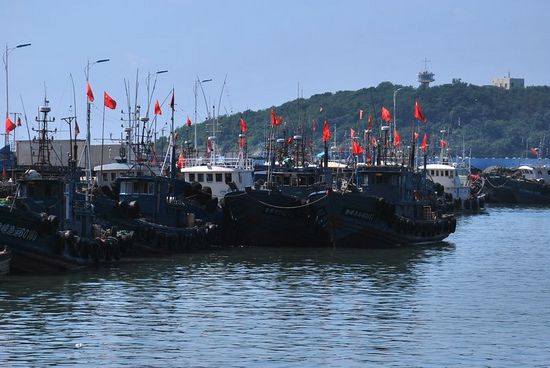 本网直击开海首日大丰收