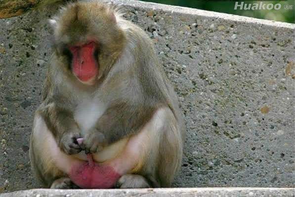 生活中囧场景真的太多