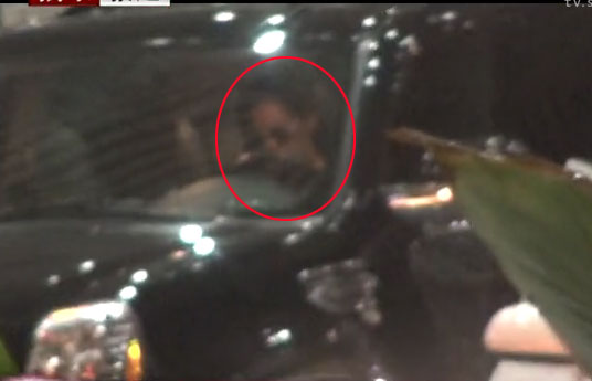 许晴与神秘胡须男回京 同乘军牌豪车默契回家