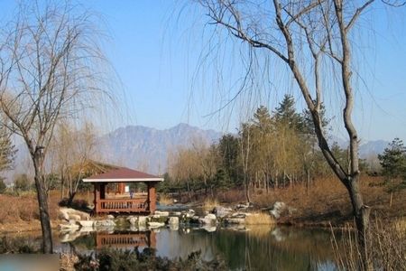 陈坤美式豪宅内景曝光 儿子生母身份再引猜测