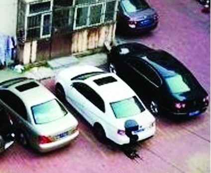 青岛401医院家属院白车被泼黑漆 黑车被泼绿漆