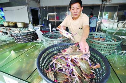 青岛1天30万斤螃蟹上市 吃蟹正当时