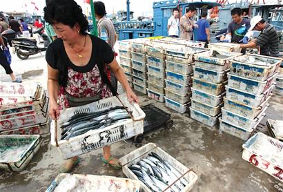 探访青岛六大渔码头