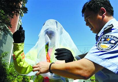 湖岛新村上演人蜂大战 冰火齐发将其拿下