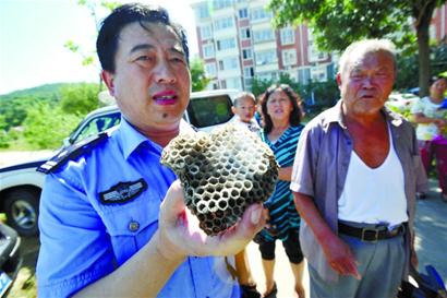 湖岛新村上演人蜂大战 冰火齐发将其拿下