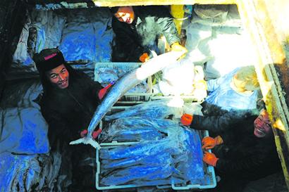 青岛远洋捕捞船出海半月满仓归来 打捞海货60多万斤 青岛远洋捕捞船出海半月满仓归来 打捞海货60多万斤