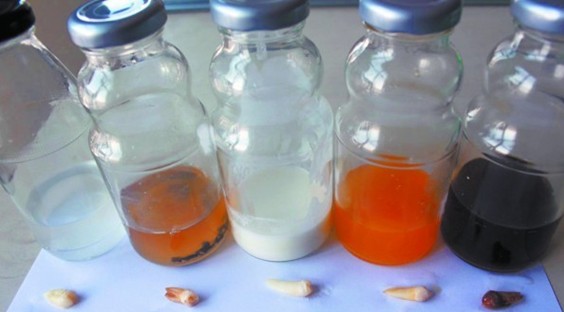 喝啥饮料最伤牙 实验证实可乐损伤牙釉质 喝啥饮料最伤牙 实验证实可乐损伤牙釉质