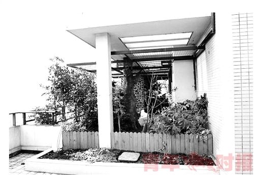 被拆前的空中花园