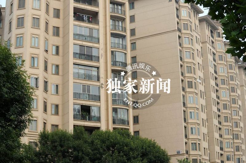 董卿低调装扮素颜独自回京 面色疲惫疑劳累过度