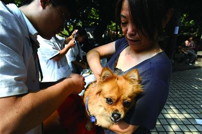 青岛宠物犬家门口可打疫苗10元1针 17大疫苗点公布