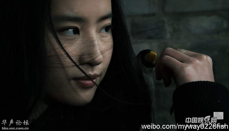 图揭明星成长史 