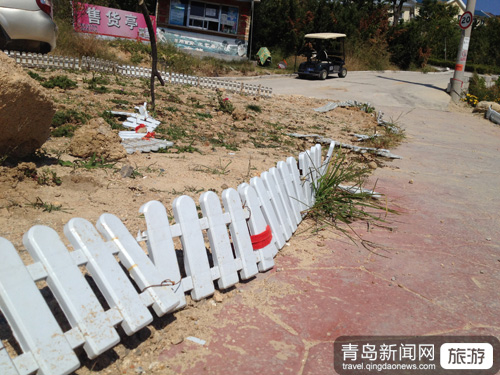 探访平度茶山风景区 鱼汤里飞幺蛾卫生隐患多