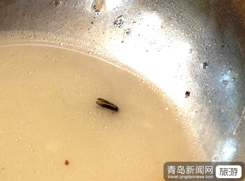 探访平度茶山风景区 鱼汤里飞幺蛾卫生隐患多