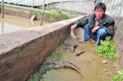 世纪豪雨冲走胶南1.1亿 即墨平度渴坏