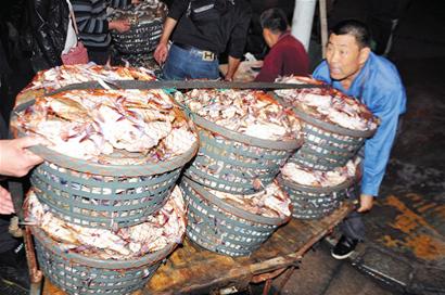 5地梭子蟹螯战青岛 每天72吨