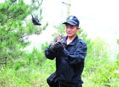森林管护队长：鸟网救下千只鸟 摔下山头盔救命