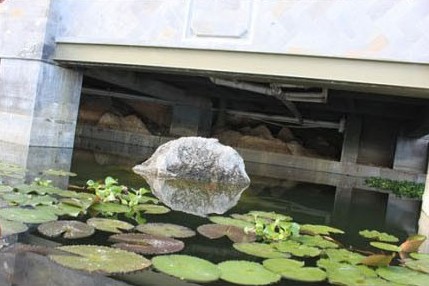 大理回应杨丽萍豪宅污染洱海事件 大理回应杨丽萍豪宅污染洱海事件