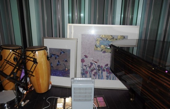 朗朗千万会所奢华内场照首曝光 处处洋溢着艺术的气息