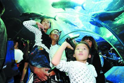 6大景区1天纳客37万 迎首个高峰