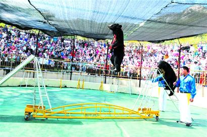 6大景区1天纳客37万 迎首个高峰