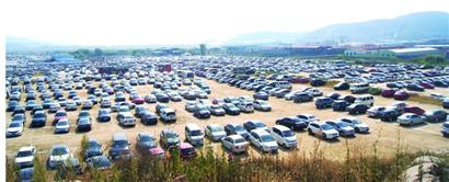 崂山停放车辆数刷新30年新记录