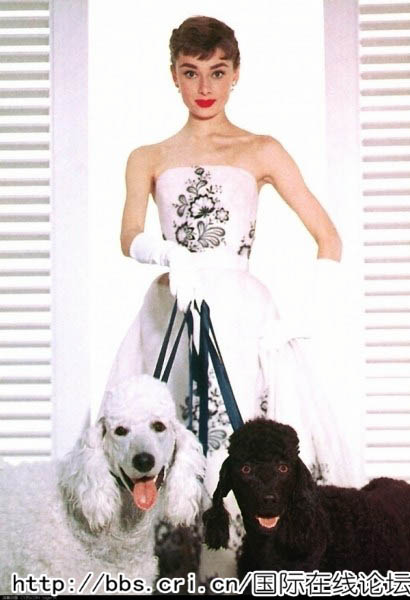 惊艳了一个世纪的女神 绝美