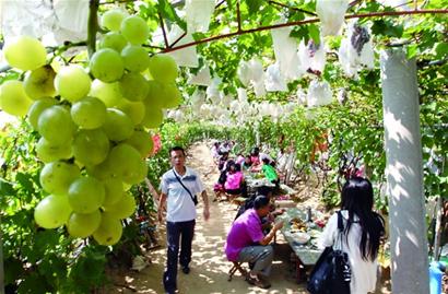 乐小账本晒出生活高品质