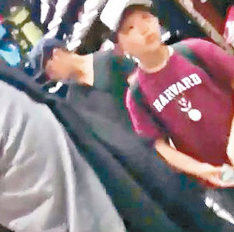 陈坤自爆宝贝儿子的清晰照 9岁优优训狗场面温馨