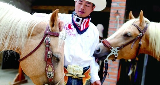 青岛藏20余匹汗血宝马 匹匹身价超宝马车