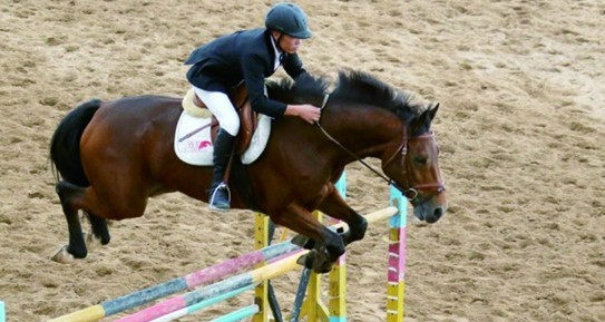 青岛藏20余匹汗血宝马 匹匹身价超宝马车