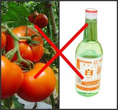 食物这么搭配等于自杀