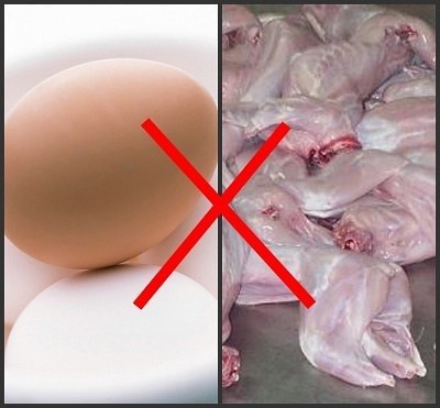 食物这么搭配等于自杀