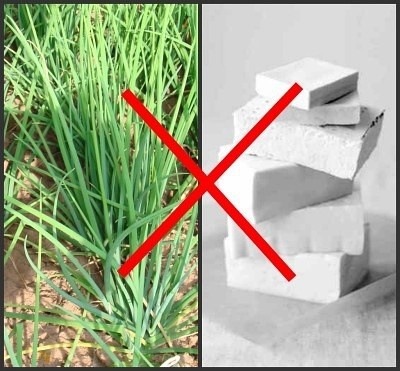 食物这么搭配等于自杀