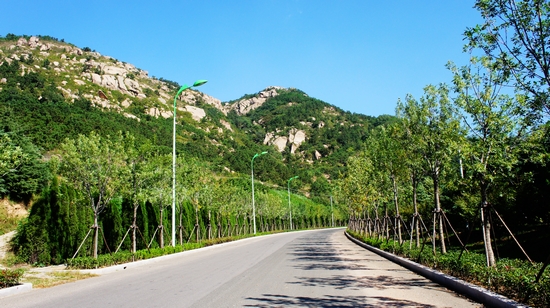 世园会内景曝光:繁花似锦 鸟鸣婉转