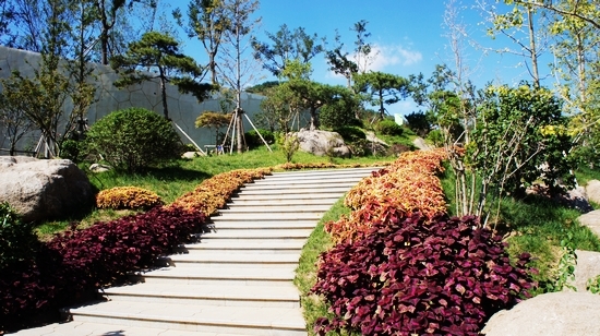 世园会内景曝光:繁花似锦 鸟鸣婉转