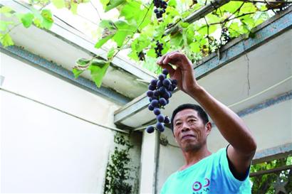 农民坚持记帐30年