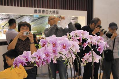 青岛市民台博会排队扫货 购百种世界唯一